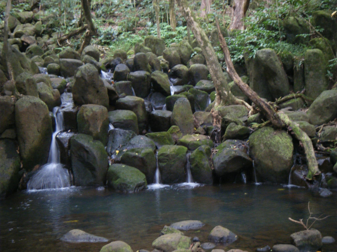 Duke's Kayak Adventures-Wailua必去景点