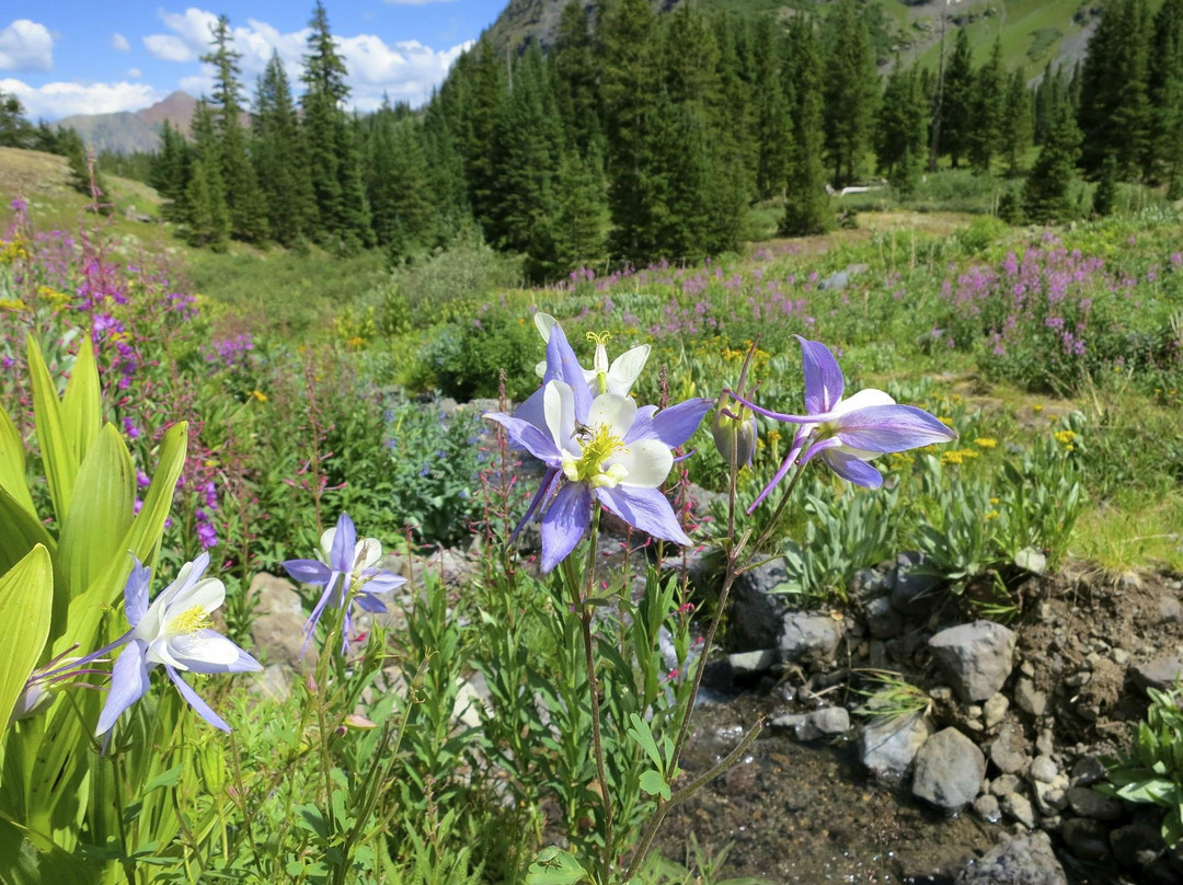 Ice Lakes-Silverton必去景点