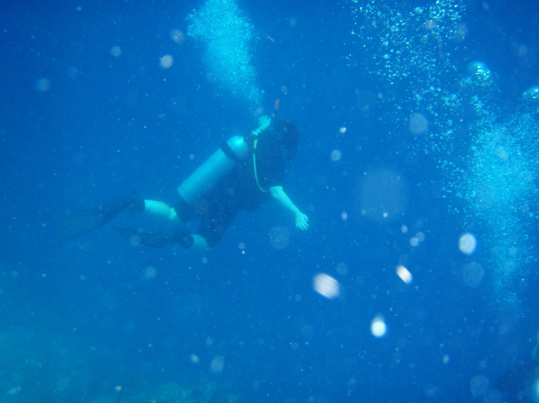 Blue Season Bali at The Menjangan景点图片