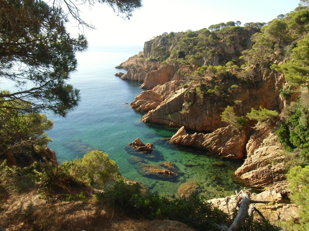 Camí De Ronda景点图片