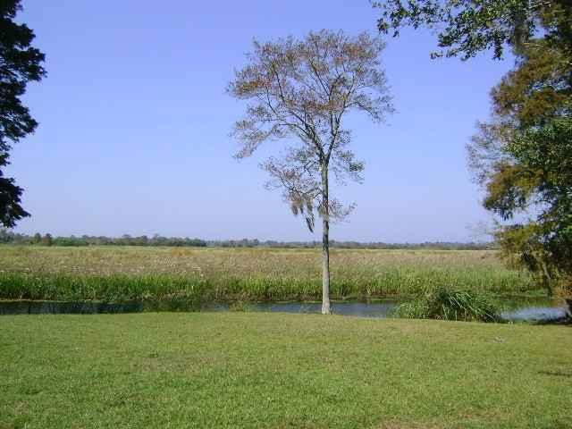 Litchfield Plantation主图