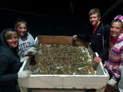 New River Shore Thing-Day Boat Tours-Sneads Ferry必去景点