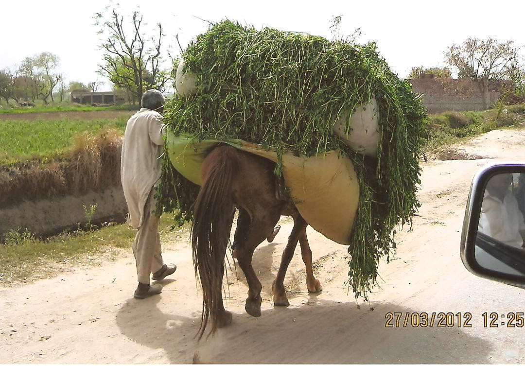 Murree Brewery-拉瓦尔品第必去景点