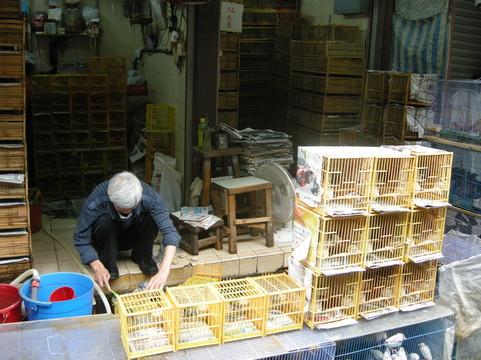 园圃街雀鸟公园-香港必去景点