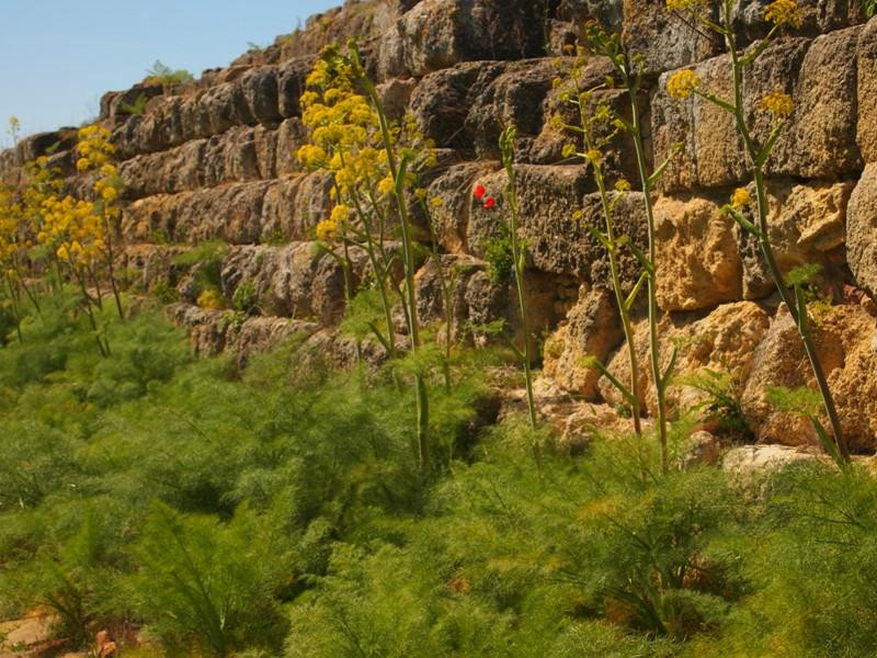 塔尔奎尼亚-塔尔奎尼亚必去景点