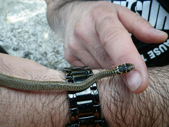 Survival and Adventure School ExtremeSurvive-普拉必去景点