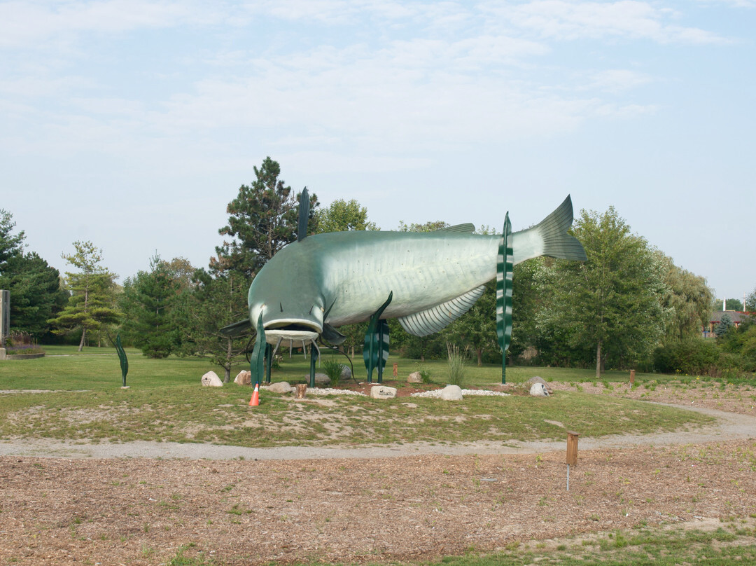 Country Inn Motel主图