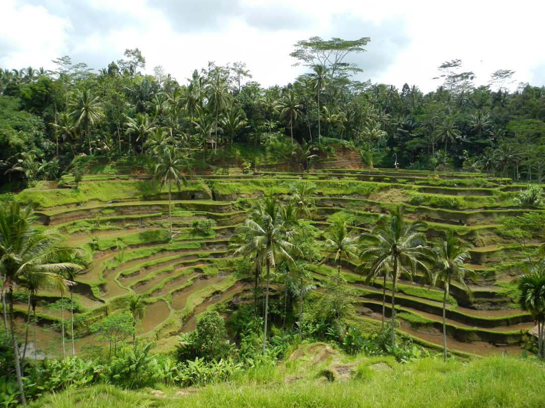 Private Bali Driver - Bali Tour-努沙杜瓦必去景点