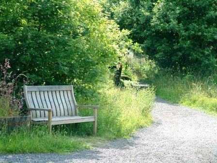 RSBP Dearne Valley - Old Moor景点图片