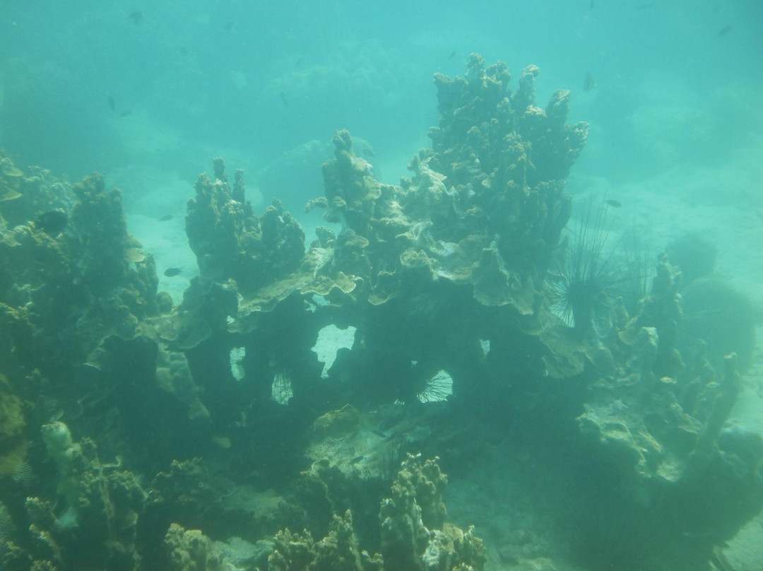 Scuba Diving Pattaya景点图片