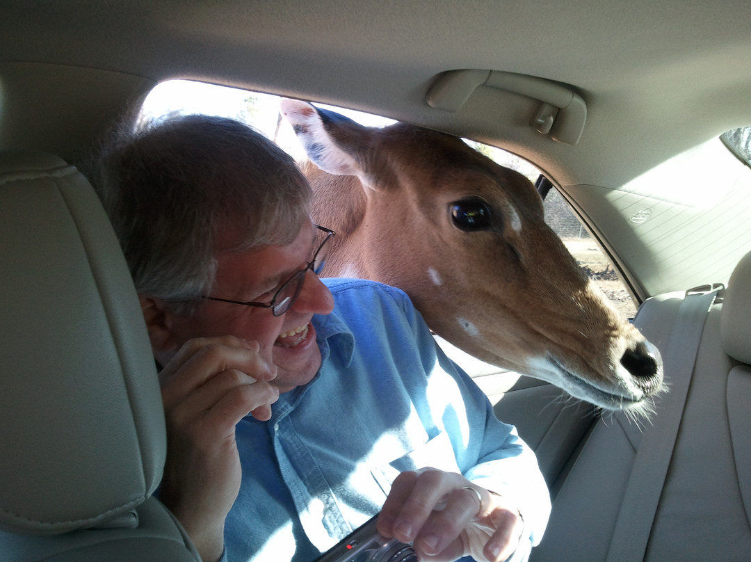 The Lazy 5 Ranch-穆尔斯维尔必去景点