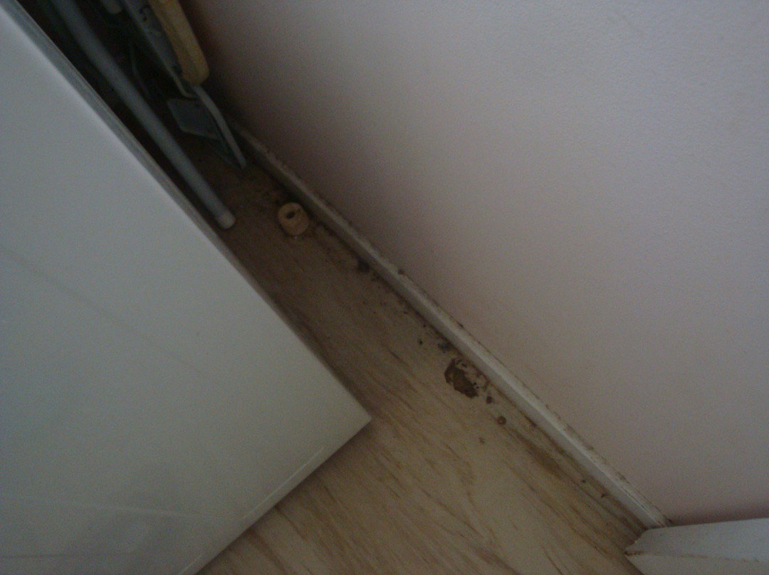 Lake Glenbawn State Park-Scone必去景点