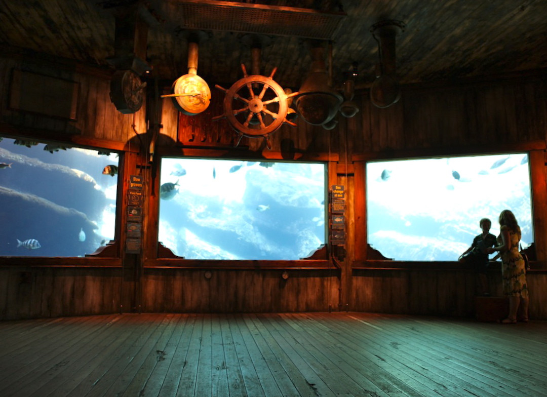 U Shaka Marine World景点图片