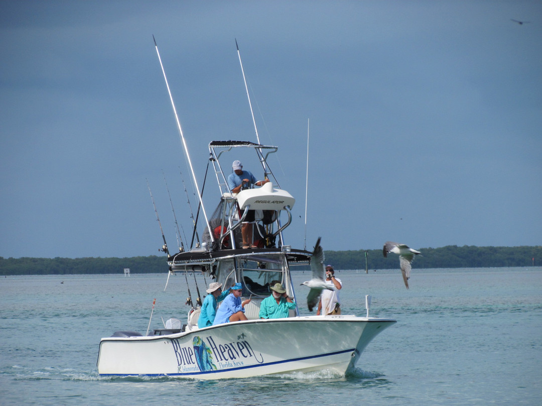 Blue Heaven Charter-伊斯拉摩拉达必去景点