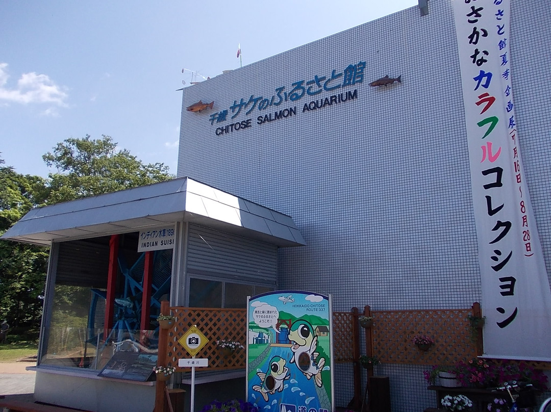 千岁鲑鱼水族馆-千岁市必去景点
