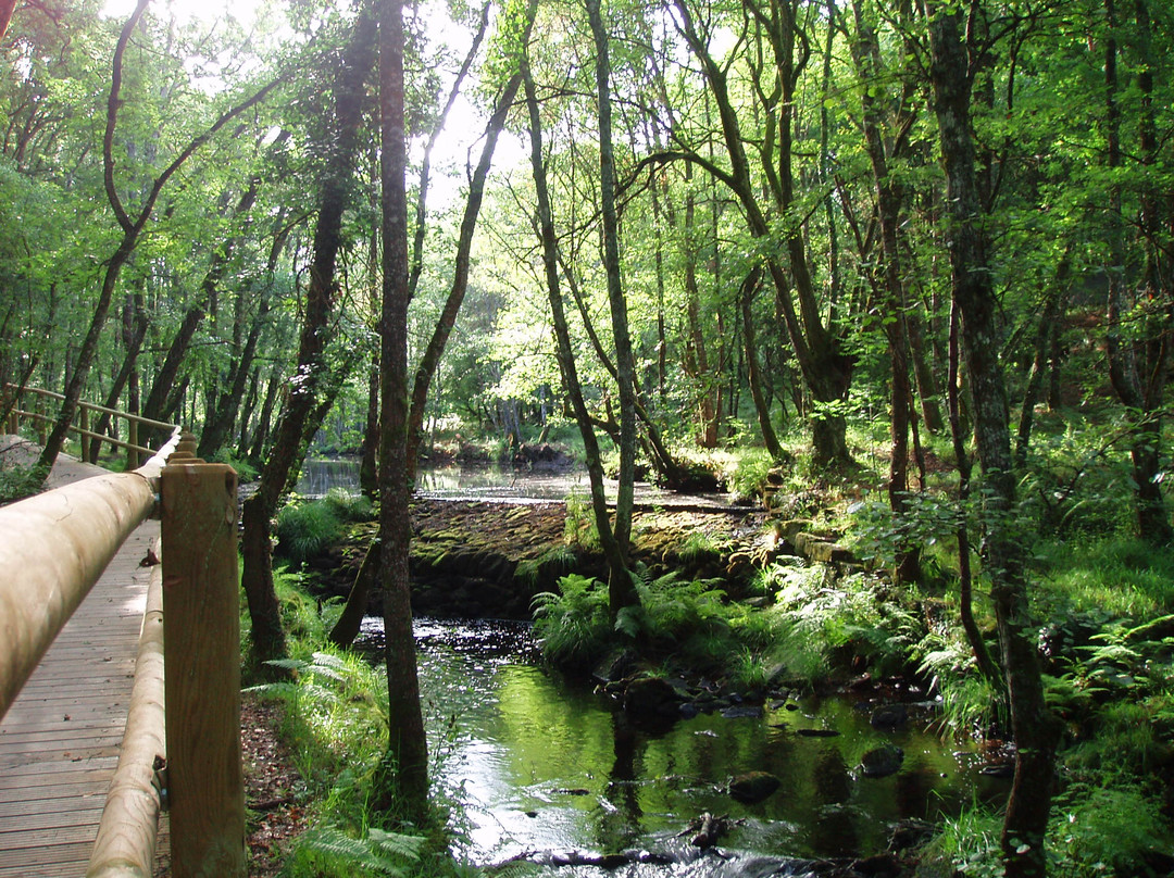 Parque do Mino-卢戈省必去景点