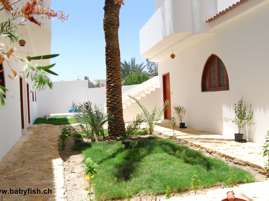 Maqnah酒店住宿-Baby Fish Apartments Ressort Dive