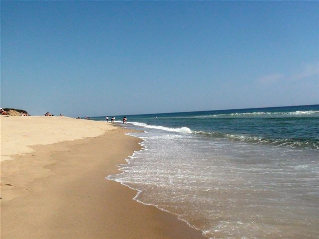 Coast Guard Beach景点图片