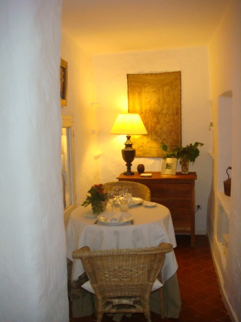 El Pi del Senyoret主图