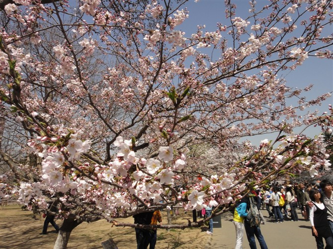 青岛中山公园-青岛市必去景点