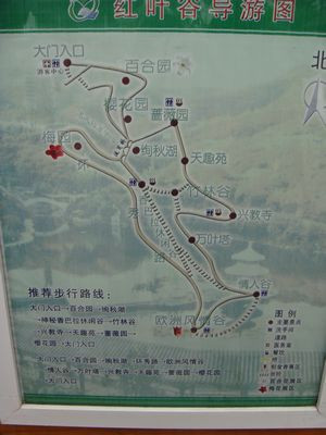 济南红叶谷-济南市必去景点