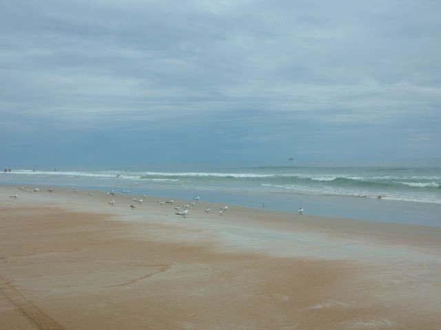 Beach at Daytona Beach景点图片