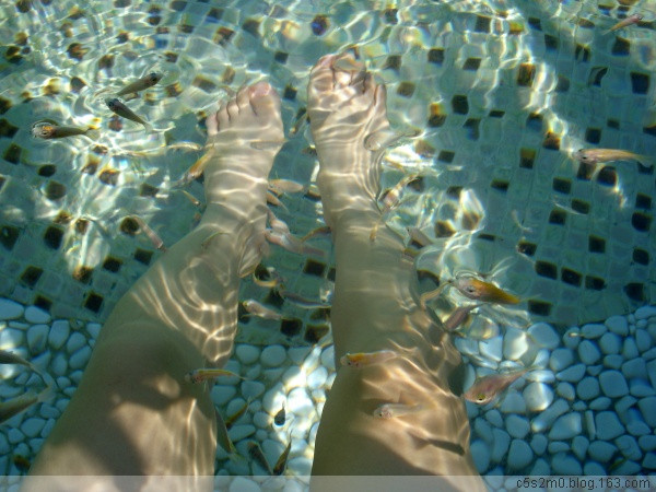 文轩苑度假中心主图