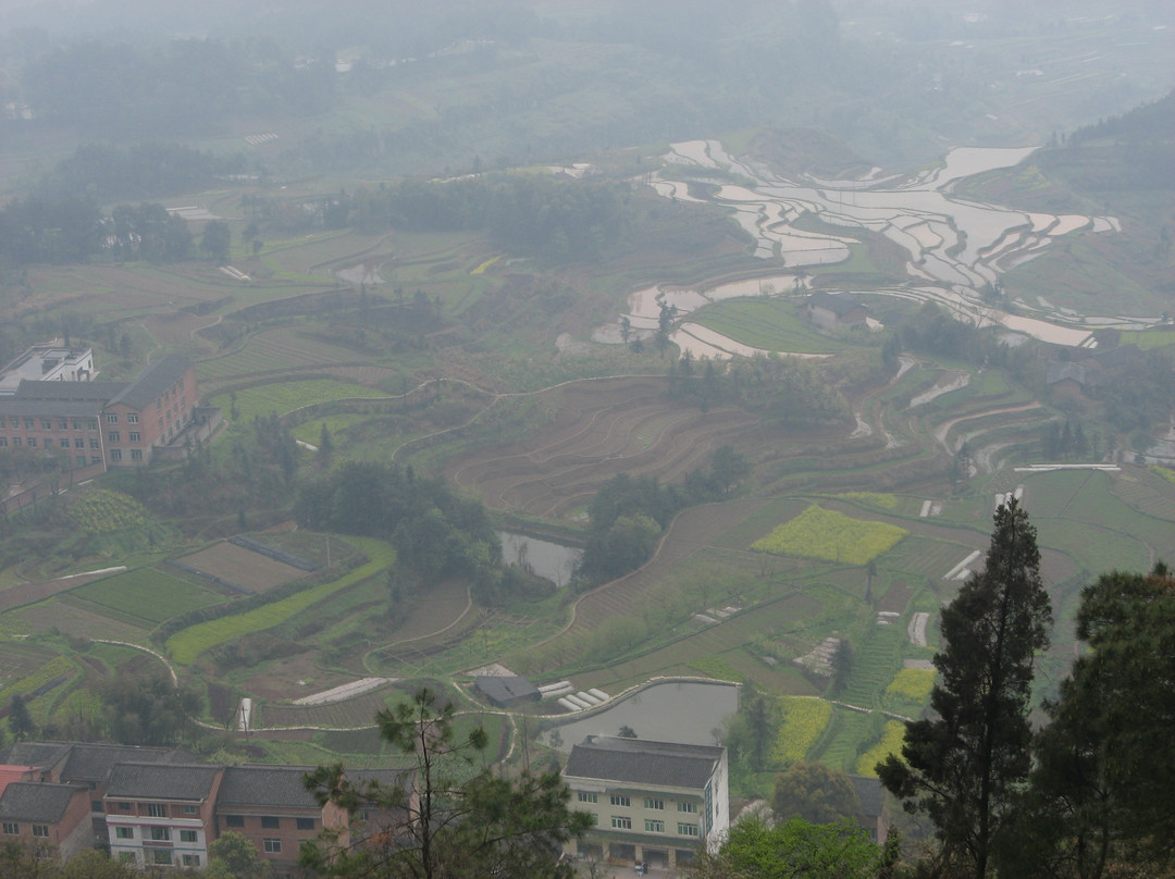 圣灯山森林公园景点图片