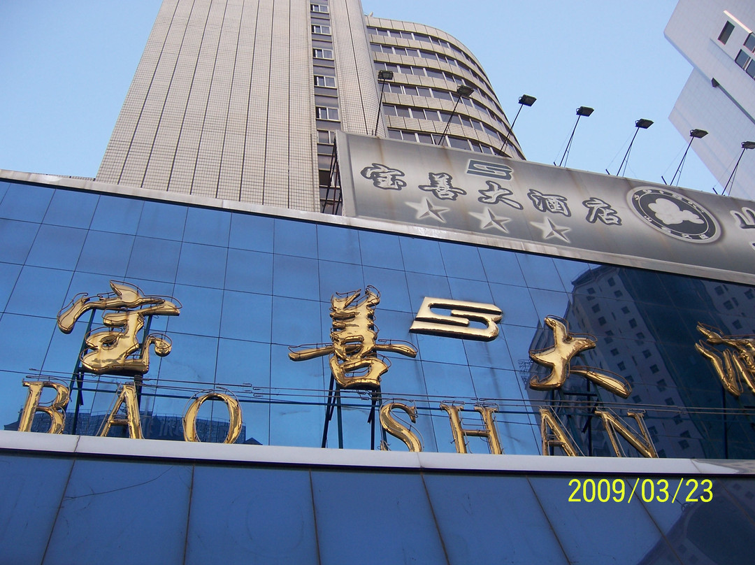 宝善大酒店主图