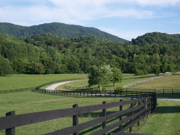 Walland旅游攻略图片