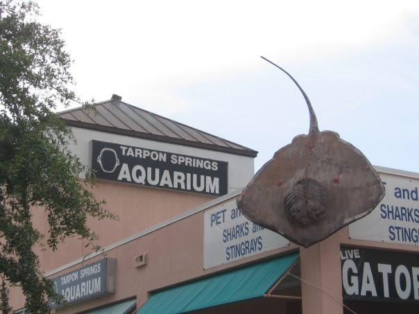 Tarpon Springs Aquarium and Animal Sanctuary景点图片