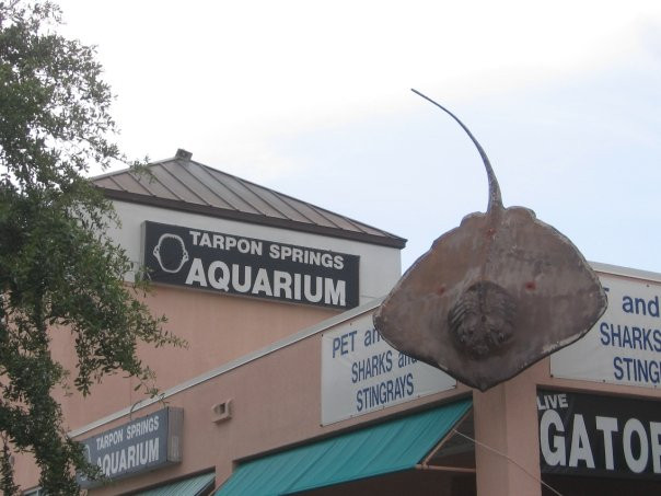 Tarpon Springs Aquarium and Animal Sanctuary-塔彭斯普林斯必去景点