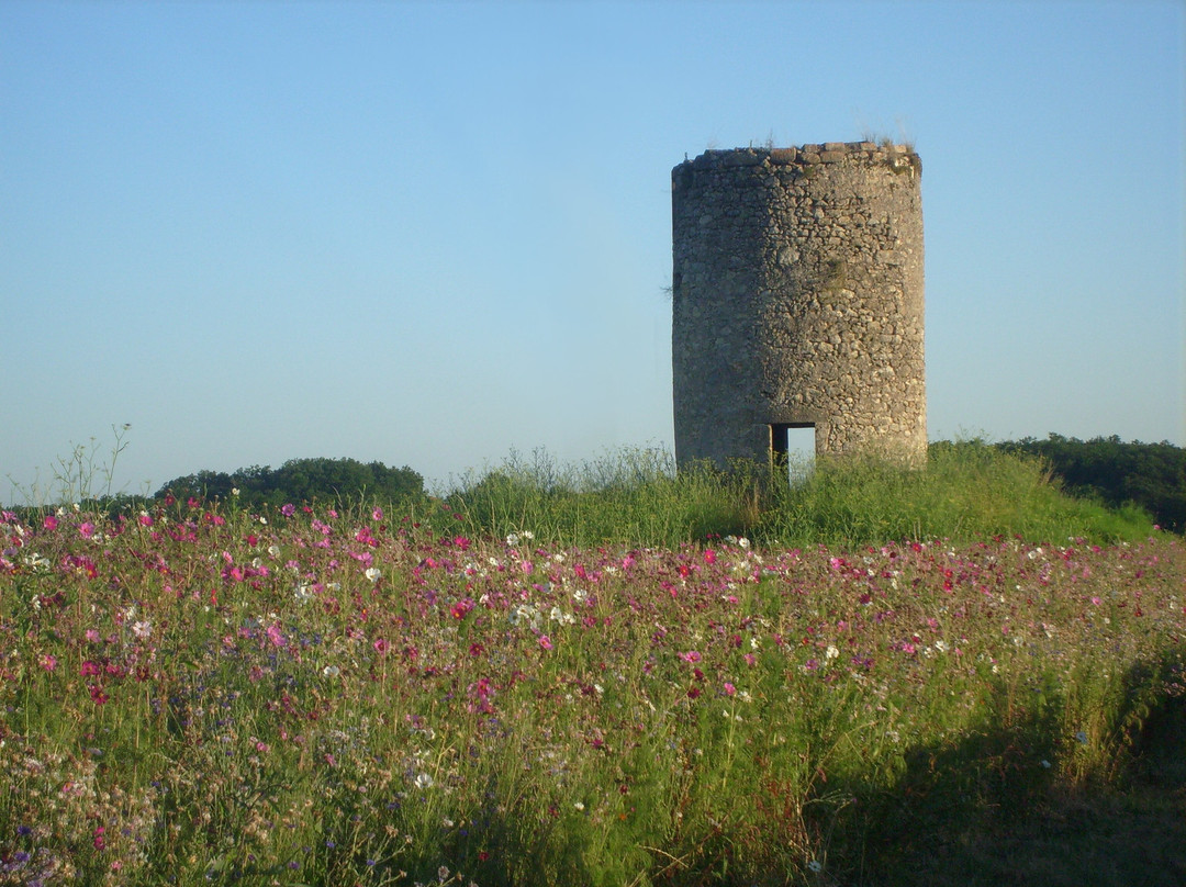 Château Moulin De Peyronin景点图片