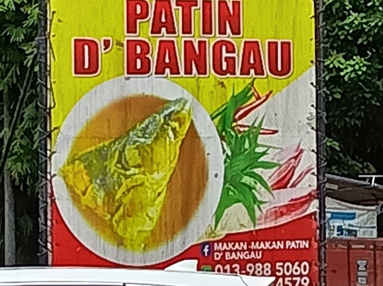 Makan Makan Patin D'Bangau主图