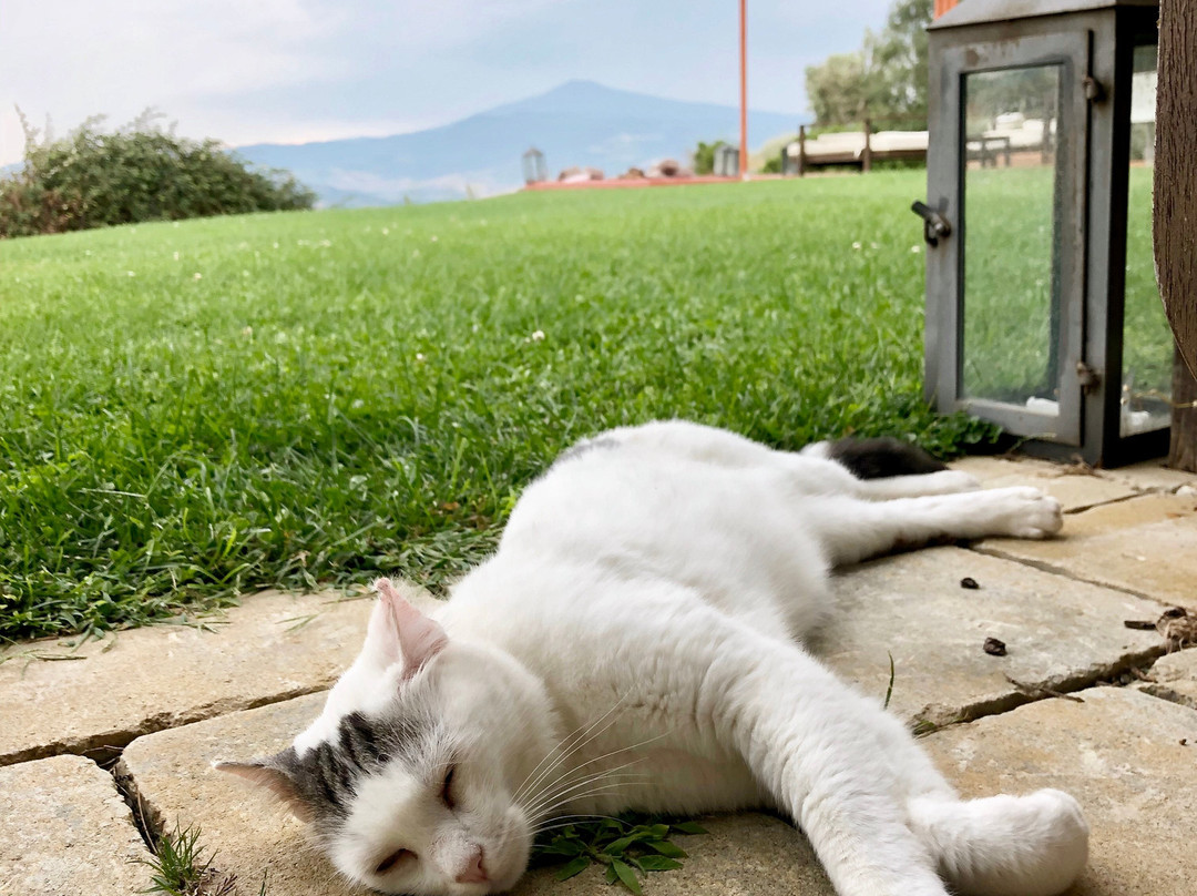 Agriturismo La Bandita