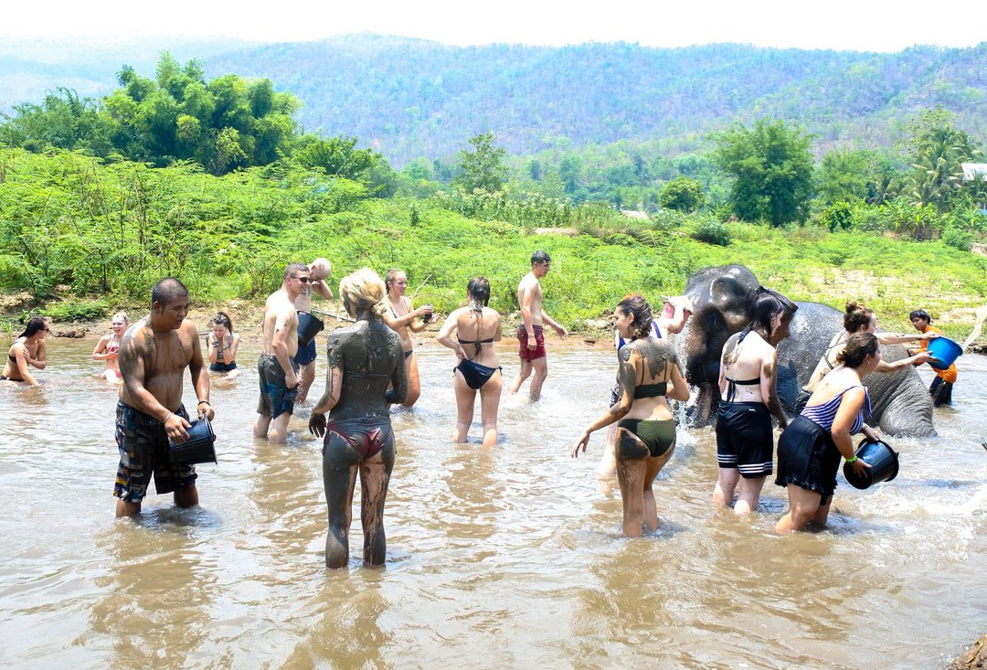 Inthanon Elephant Sanctuary & Wildlife Preserve-清迈必去景点