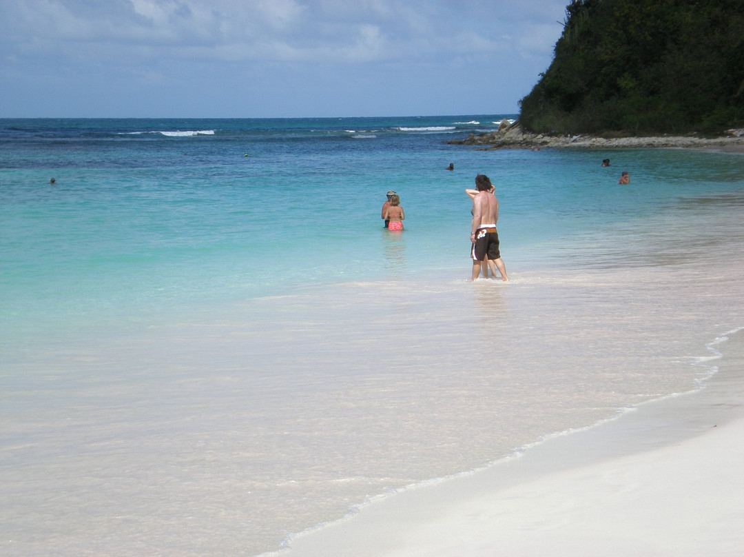 365 Beaches-圣 约翰必去景点