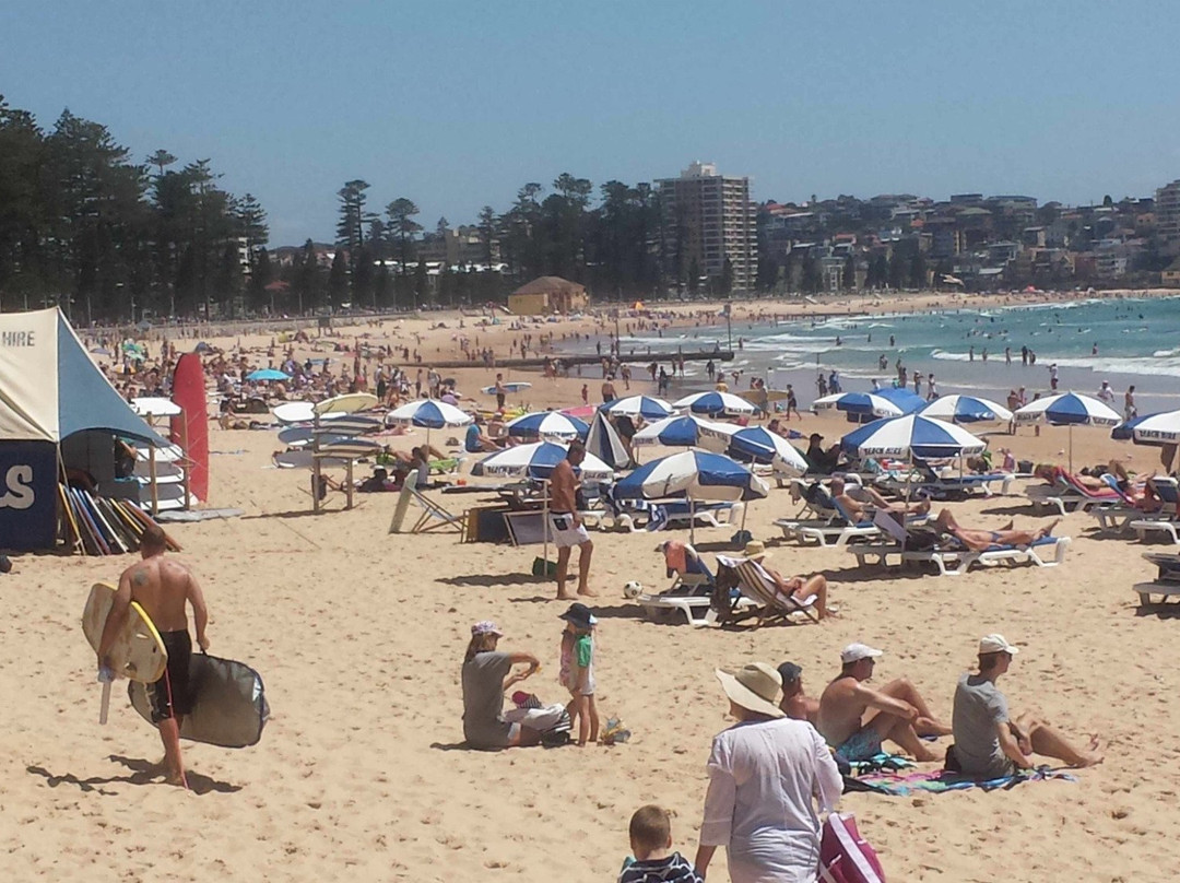 Manly Beach Hire景点图片