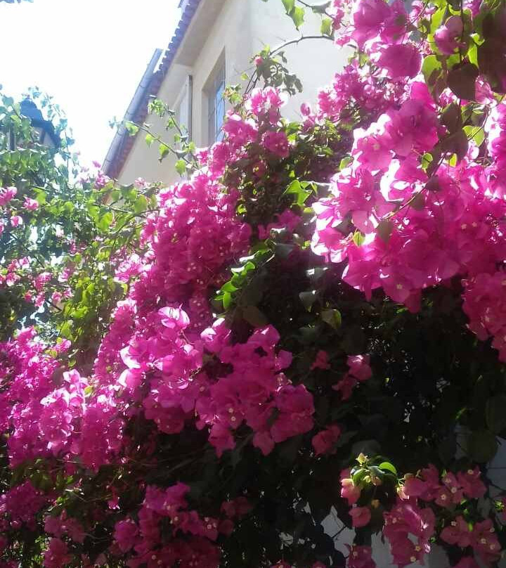 Taverna to Paleo Archontiko - Old Maison主图