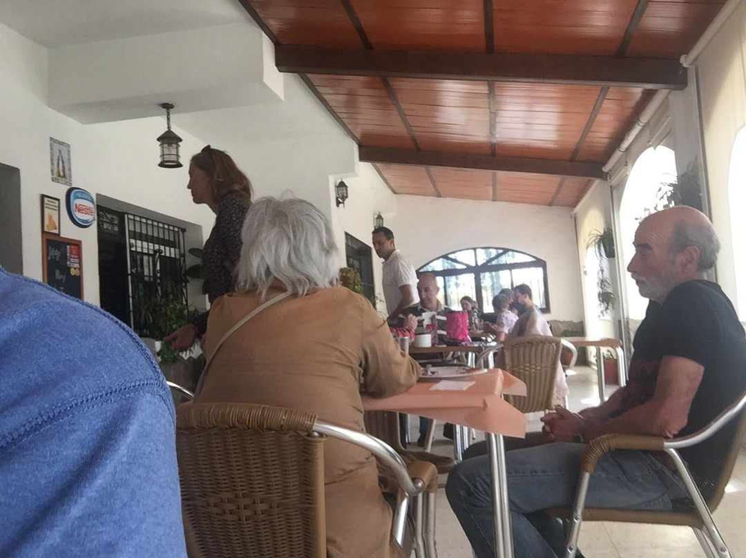 Venta Los Olivos