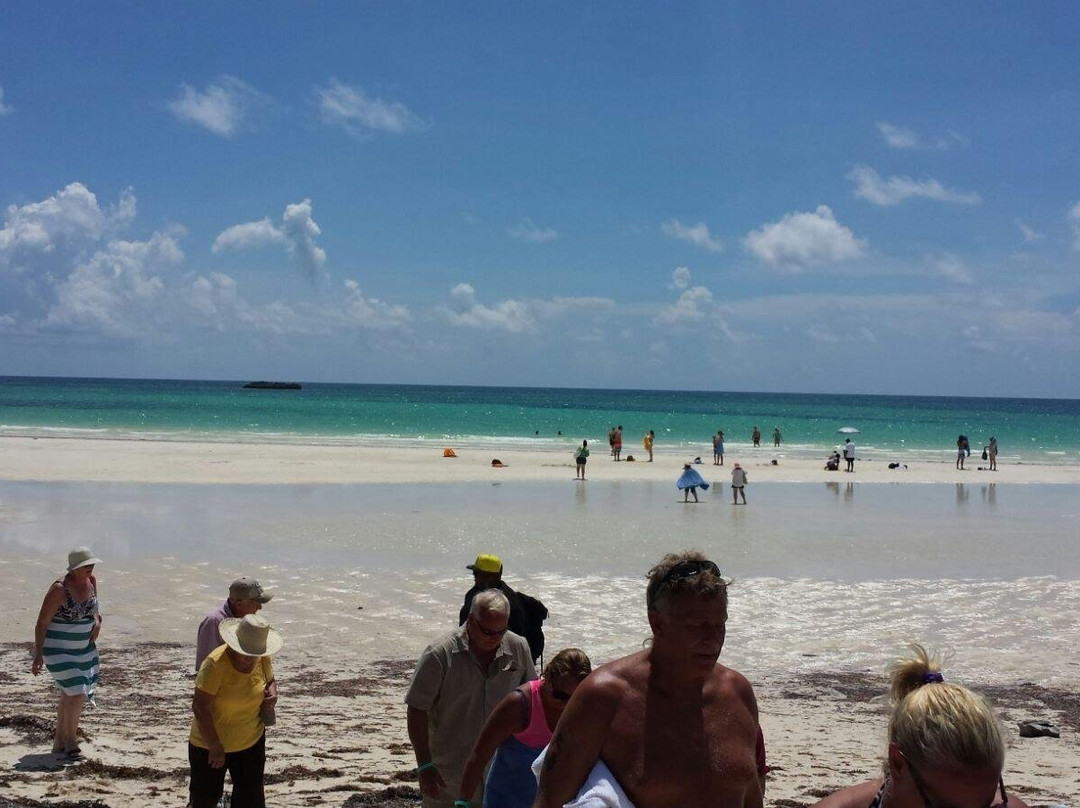 At YOUR Pace Private Tours-拿骚必去景点