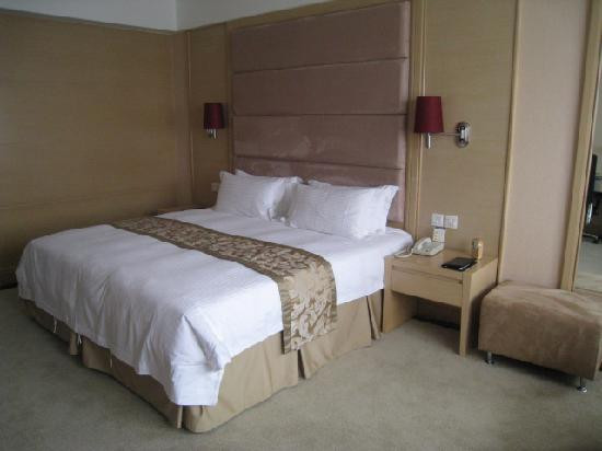 鄂尔多斯艾力酒店主图