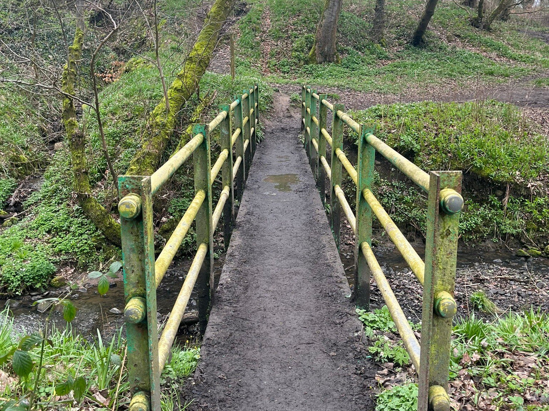 Yarrow Valley Country Park景点图片