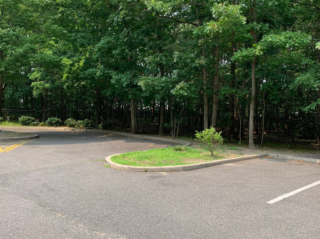Robert J. Henke Nature Preserve Passive Park景点图片