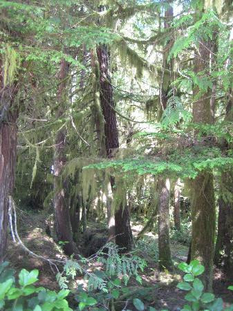 Pacific Rim National Park Reserve景点图片