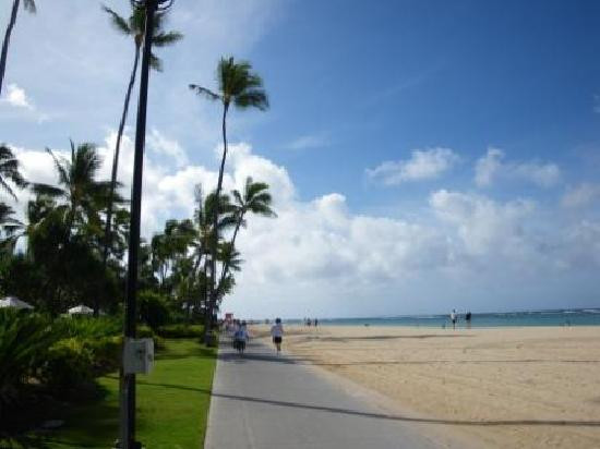 德吕西堡沙滩公园-火奴鲁鲁必去景点