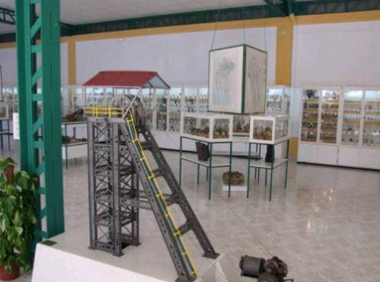 Museo Geológico Minero景点图片