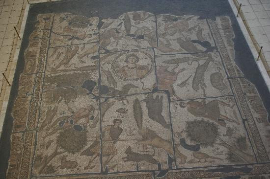 Hatay Archeology Museum景点图片