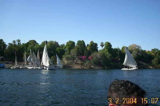 Aswan Botanical Garden-亚斯文必去景点