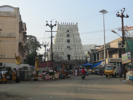 Ulagalantha Perumal Temple景点图片